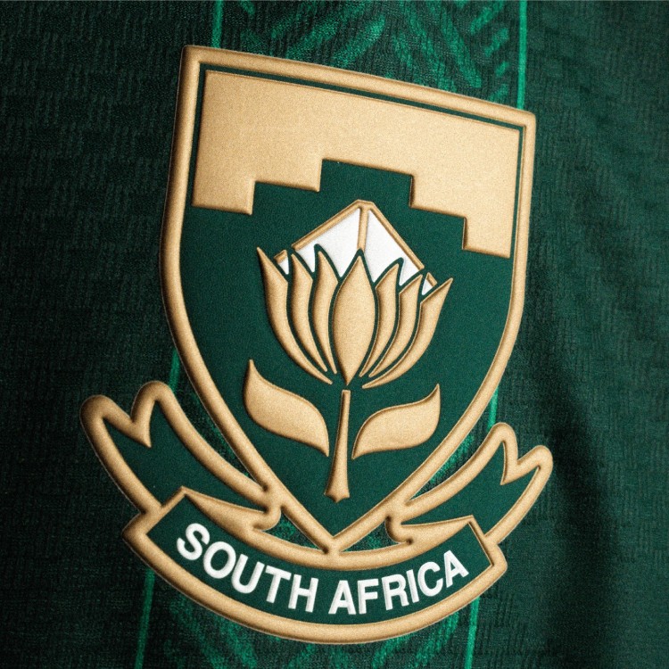 South Africa Crest Detail