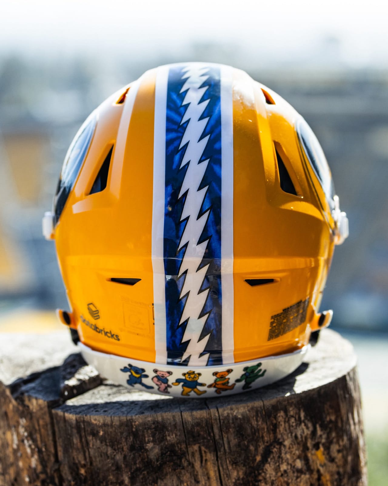 Back of the Cal Grateful Dead helmet: blue lightning bolt stripe and dancing bears on the rear bumper