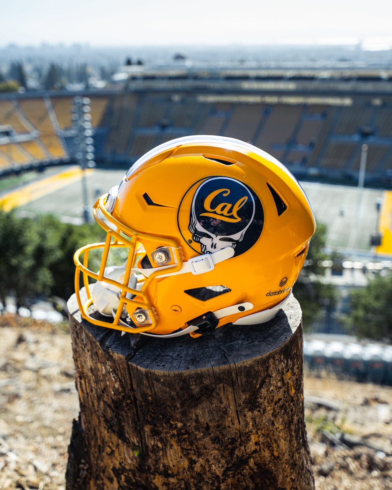 Cal Grateful Dead helmet side view: gold shell with the Cal script over a Steal Your Face skull