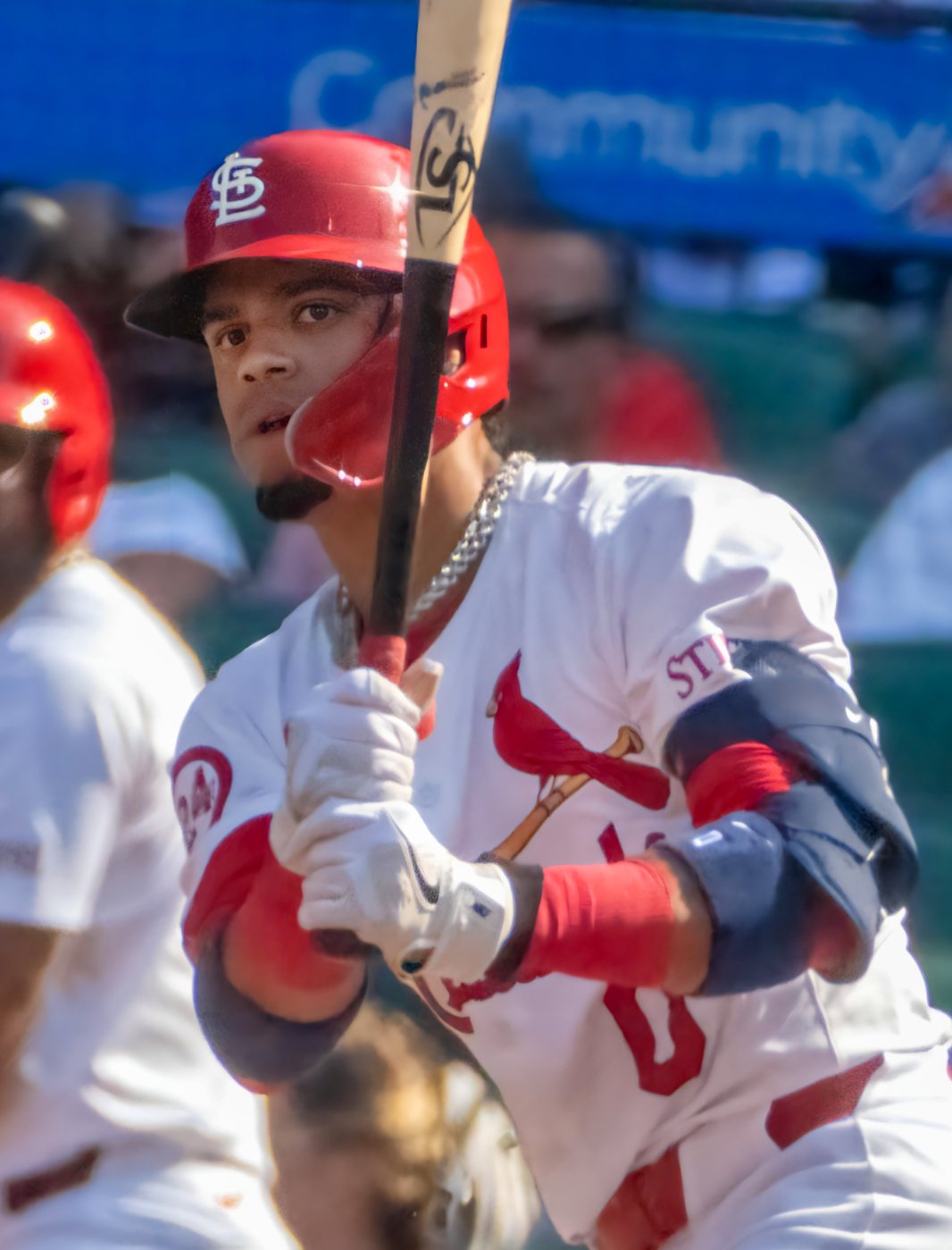 Cardinals shortstop Masyn Winn batting in the white home jersey with the birds on the bat across the chest, in 2024