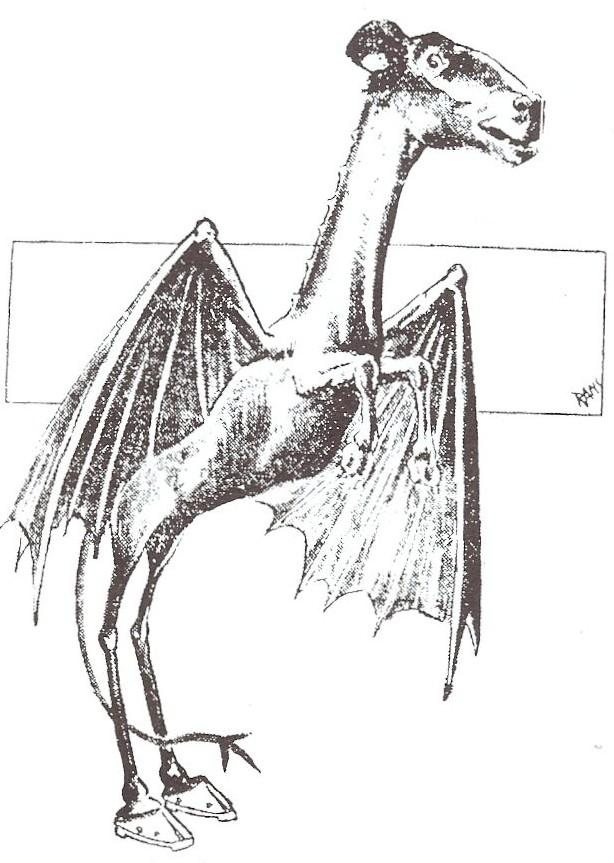 A 1909 Philadelphia newspaper drawing of the Jersey Devil, a winged, horse-headed creature with clawed feet, from the January 1909 wave of sightings in South Jersey