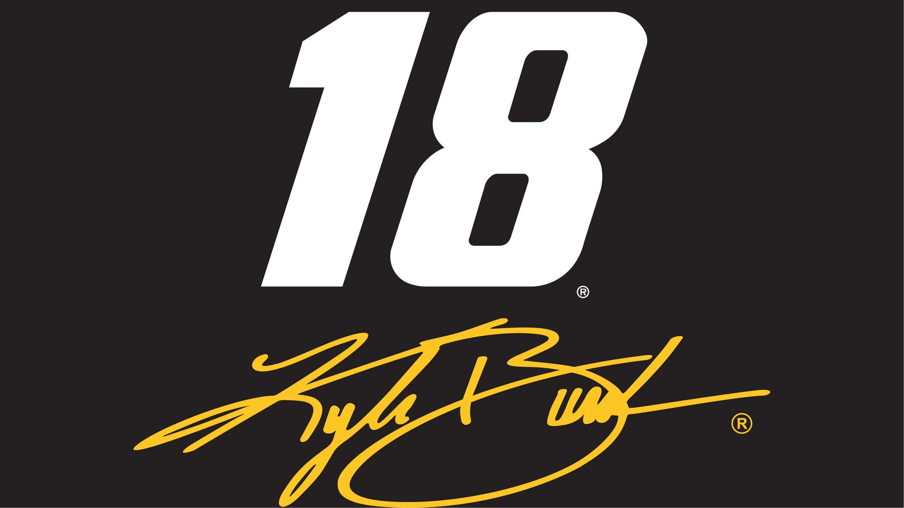 Kyle Busch Number 18 tribute