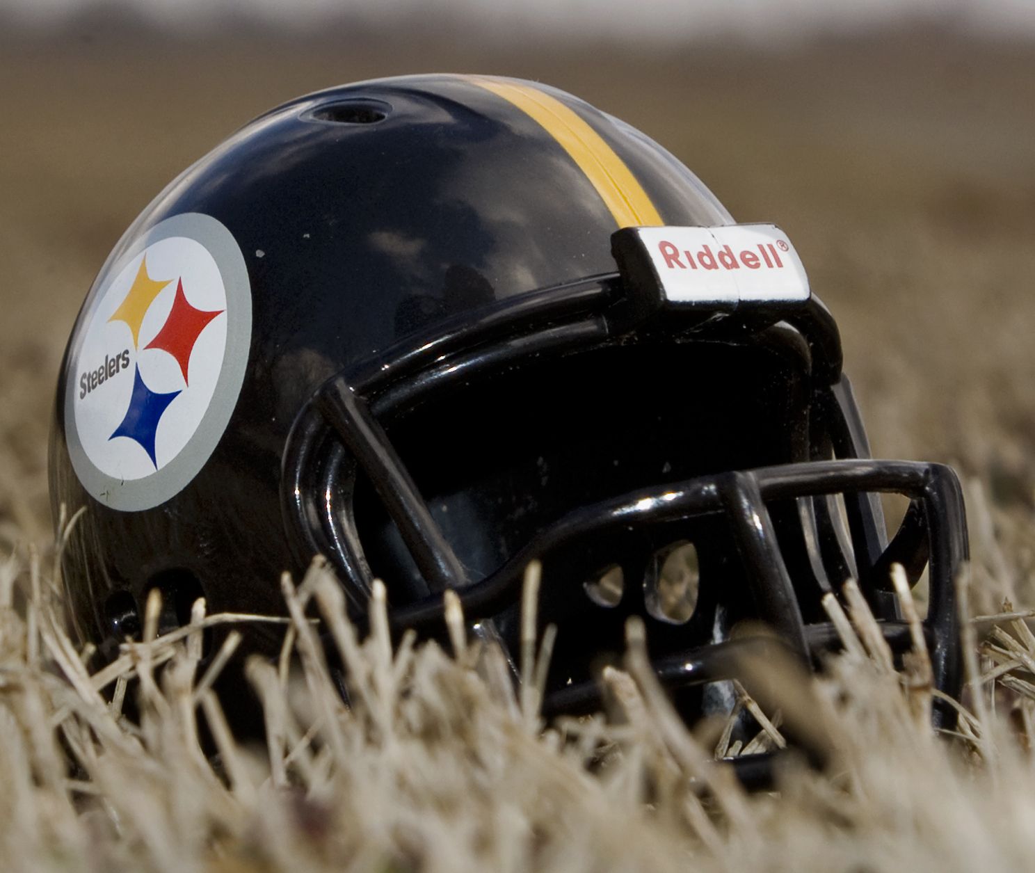 A black Pittsburgh Steelers helmet with the Steelmark logo, the yellow, red and blue hypocycloids, on the right side, sitting in dry grass
