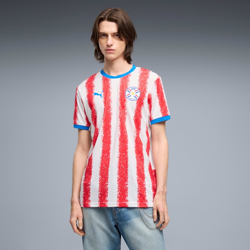 Paraguay Home Kit