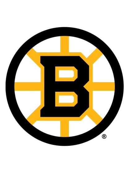 Boston Bruins logo